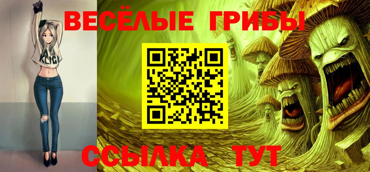 Борисоглебск  Псилоцибиновые грибы Psilocybe  Вход с VPN  где можно купить   Галлюциногенные грибы Psilocybine cubensis 